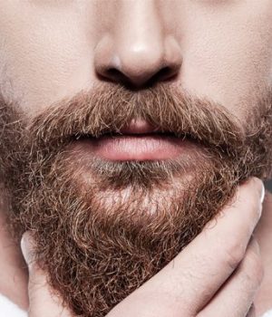 Wie wächst der Bart?
