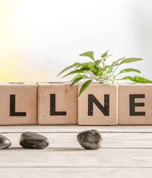 What is Wellness? Everything You Need to Know About Wellness!